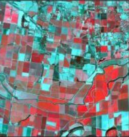 False-colour fields